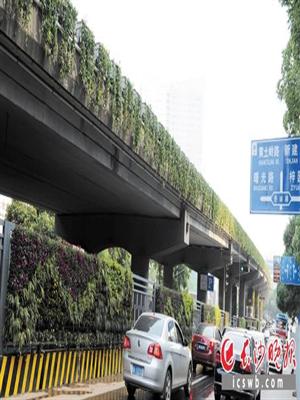 长沙2016年将建20条林荫大道 新增绿地600公顷