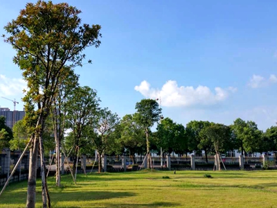 制药厂绿化